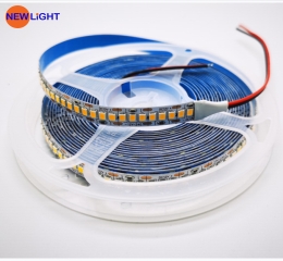 LED DÂY 12V 2835 168LED